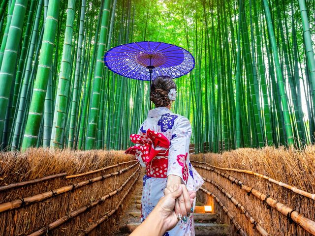 関西フリープランイメージ